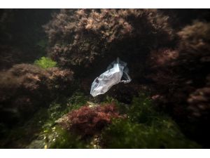 Anadolu Agency journo collects garbage from sea as part of environment forum